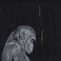 APE
oil on canvas, 70x70cm