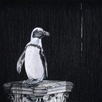 PENGUIN 
 oil on canvas, 110x110cm