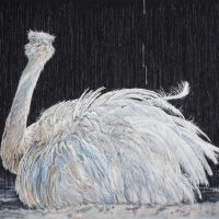 WHITE EMU
oil on canvas, 140x160cm